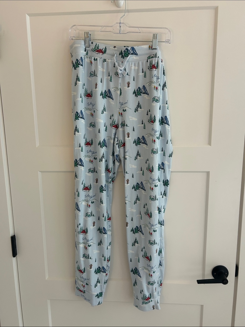 Wondershop Light Blue Men’s Jogger Pants with Mountain & Tree Print